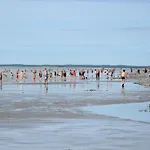 Appartement Ces Jours En Baie Le Vue *