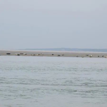 Ces Jours En Baie Le Vue Apartment Cayeux-sur-Mer