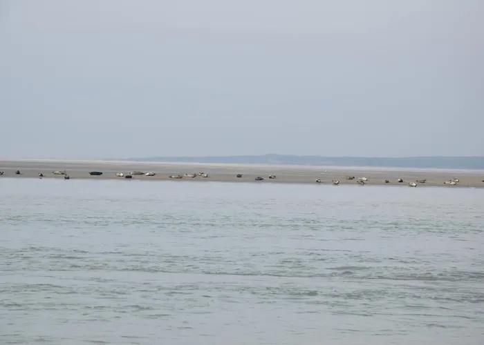 Ces Jours En Baie Le Vue Apartment Cayeux-sur-Mer